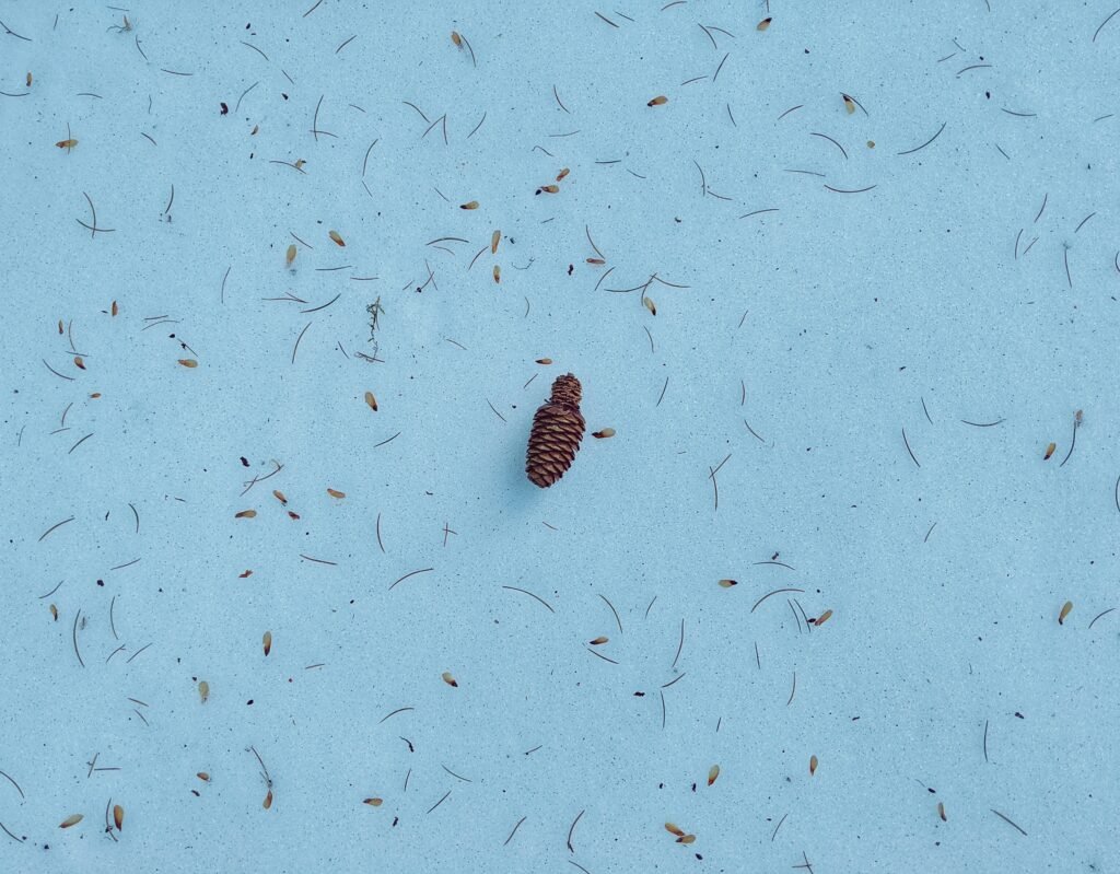 ashwini chaudhary monty C2DIQkrWTHw unsplash 1