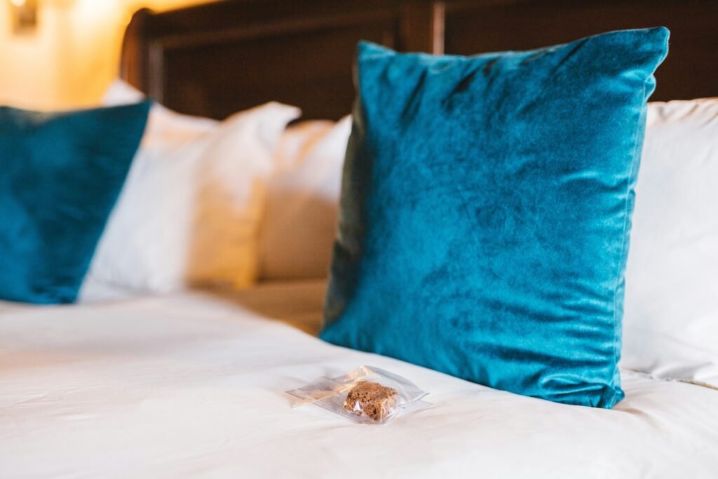 White hotel bed with decorative pillows — common environment for bed bug treatment

